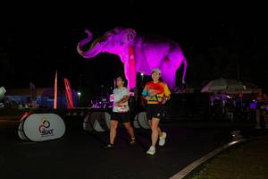 BIB: 
                            <button type="button" onclick="openModal(26543120)" class="btn btn-primary btn-sm float-right btn-popup" data-toggle="modal" data-target=".modal-high-quality">
                        <i class="fas fa-shopping-cart"></i> Add to Cart
                    </button>
                                            <button type="button" onclick="isThisMe(26543120, true)" class="btn btn-success btn-sm float-right btn-popup btn-isme hidden" data-toggle="tooltip" data-placement="bottom" title="นี่คือรูปของคุณใช่ไหม คลิกที่นี่เพื่อเอาเข้าอัลบั้ม">
                        <i class="fas fa-plus"></i> Add to album
                    </button>
                    <button type="button" onclick="isThisMe(26543120, false)" class="btn btn-warning btn-sm float-right btn-popup btn-isnotme hidden">
                        <i class="fas fa-ban"></i> Remove from album
                    </button>